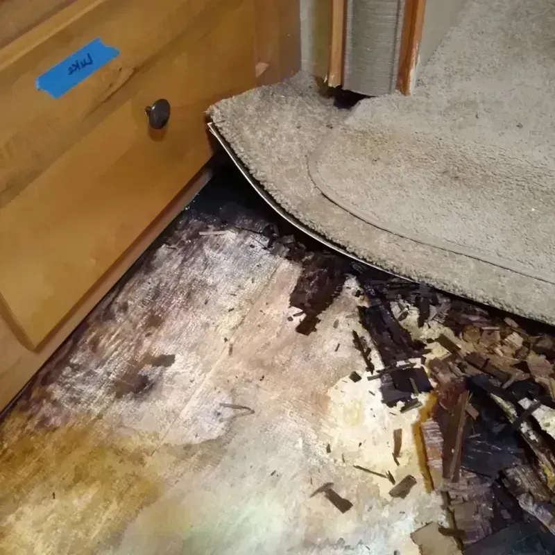 Wood Floor Water Damage in New Rockford, ND